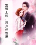 宠婚上线：司少任性撩！