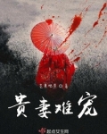 贵妻难宠