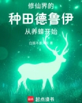 你一个德鲁伊跑去修仙？