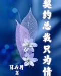 契约总裁只为情