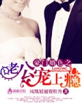 豪门婚色之老公宠上瘾