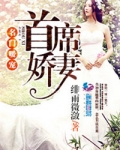 名门暖宠首席娇妻