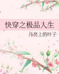 快穿之极品人生