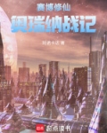 赛博修仙：奥瑞纳战记