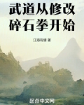 武道：从修改碎石拳开始