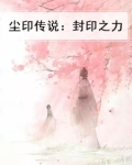 尘印传说:封印之力