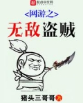 网游之无敌盗贼