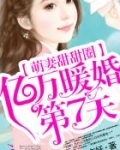 萌妻甜甜圈:亿万暖婚第7天