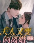冷爷,夫人又要闹离婚