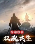 穿越修真：双魂共生