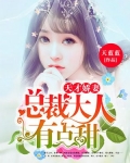 天才娇妻：总裁大人有点甜