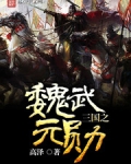 三国之魏武元勋