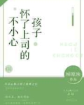 不小心怀了上司的孩子gl