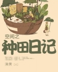 空间之种田日记