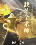 我炼金术师，不可能掀起诸神黄昏