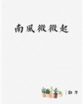 南风微微起
