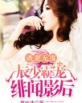 诱妻无度：辰少霸宠绯闻影后
