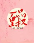 一品皇叔