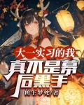 大一实习的我，真不是幕后黑手