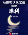从霍格沃茨之遗归来的哈利