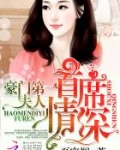 首席情深：豪门第一夫人