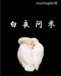 白夜问米