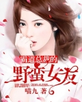 霸道总裁的野蛮女友