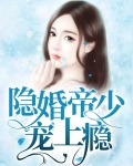隐婚帝少宠上瘾
