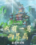我有一尊两界鼎