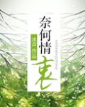 奈何情衷