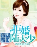 渣男请回:拒婚陆大少
