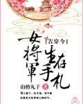 女将军生存手札[古穿今]