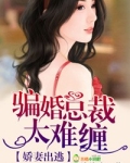 爱妻出逃，骗婚总裁难招惹