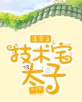 清穿之技术宅太子