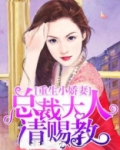 重生小娇妻：总裁大人请赐教