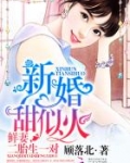 新婚甜似火：鲜妻，二胎生一对
