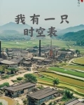 我在1980年搞开发