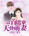 入骨暖婚:首席的天价萌妻