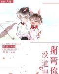 掰弯你没道理