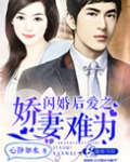 闪婚后爱之娇妻难为