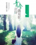 青春正好遇见你